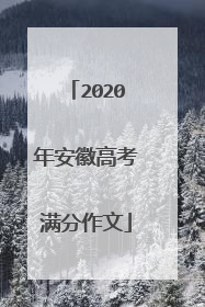 2020年安徽高考满分作文