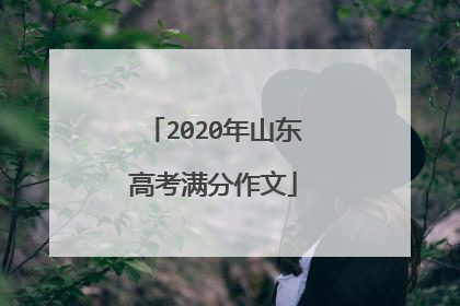 2020年山东高考满分作文