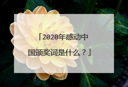 2020年感动中国颁奖词是什么?