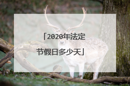 2020年法定节假日多少天