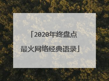 2020年终盘点最火网络经典语录