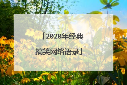 2020年经典搞笑网络语录