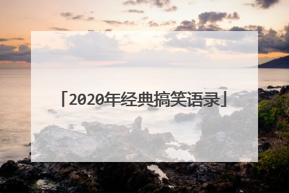 2020年经典搞笑语录