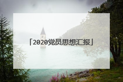 2020党员思想汇报