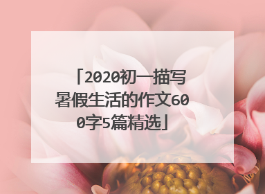 2020初一描写暑假生活的作文600字5篇精选