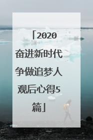 2020奋进新时代争做追梦人观后心得5篇