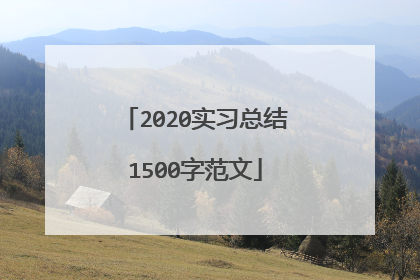 2020实习总结1500字范文