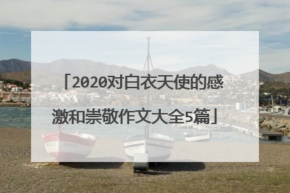 2020对白衣天使的感激和崇敬作文大全5篇