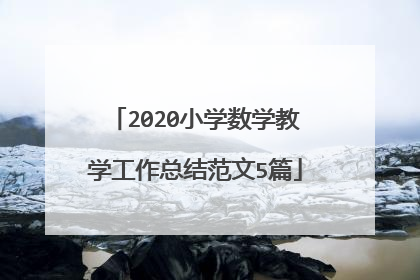 2020小学数学教学工作总结范文5篇