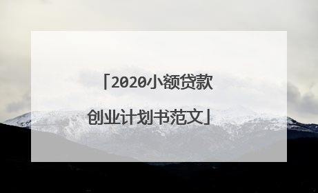 2020小额贷款创业计划书范文