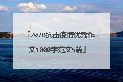 2020抗击疫情优秀作文1000字范文5篇