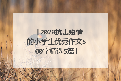 2020抗击疫情的小学生优秀作文500字精选5篇