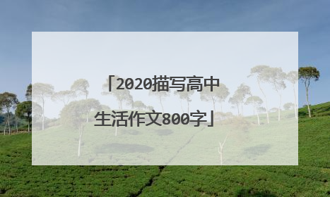2020描写高中生活作文800字