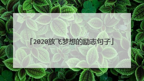 2020放飞梦想的励志句子