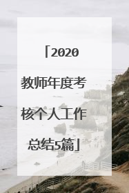 2020教师年度考核个人工作总结5篇