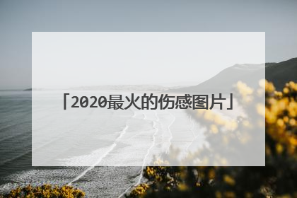 2020最火的伤感图片