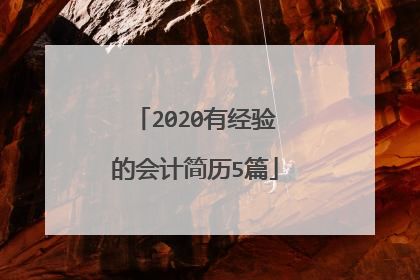 2020有经验的会计简历5篇