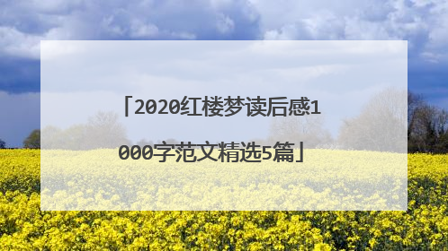 2020红楼梦读后感1000字范文精选5篇