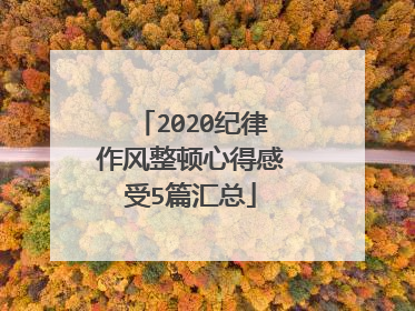 2020纪律作风整顿心得感受5篇汇总