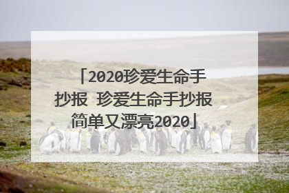 2020珍爱生命手抄报 珍爱生命手抄报简单又漂亮2020