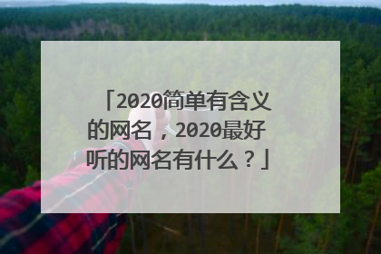 2020简单有含义的网名，2020最好听的网名有什么？