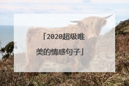 2020超级唯美的情感句子