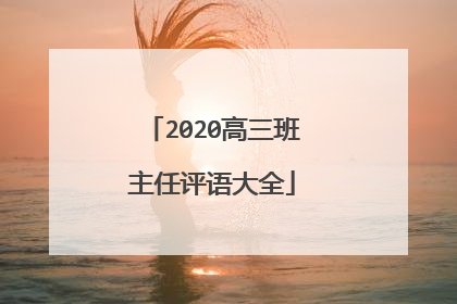 2020高三班主任评语大全