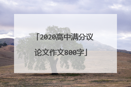 2020高中满分议论文作文800字