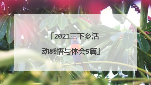 2021三下乡活动感悟与体会5篇