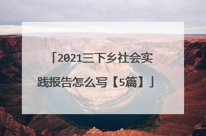 2021三下乡社会实践报告怎么写【5篇】