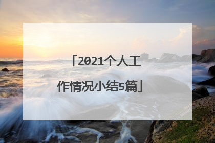 2021个人工作情况小结5篇