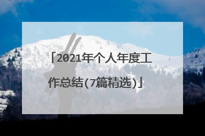 2021年个人年度工作总结(7篇精选)