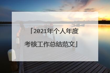 2021年个人年度考核工作总结范文