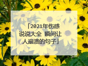 2021年伤感说说大全 瞬间让人崩溃的句子