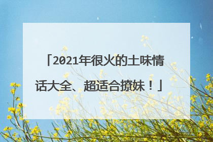 2021年很火的土味情话大全、超适合撩妹!