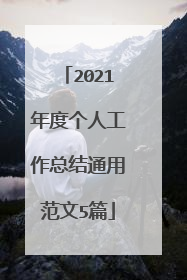 2021年度个人工作总结通用范文5篇