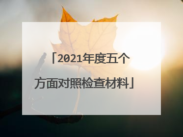 2021年度五个方面对照检查材料