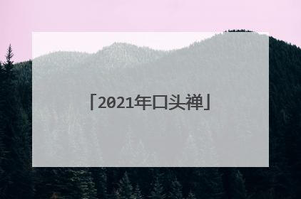 2021年口头禅