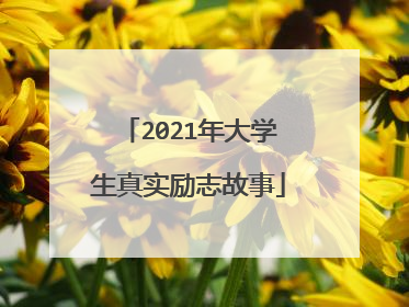 2021年大学生真实励志故事