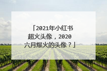 2021年小红书超火头像，2020六月爆火的头像？