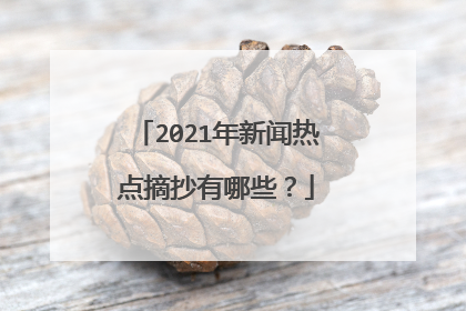 2021年新闻热点摘抄有哪些？