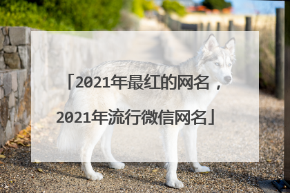 2021年最红的网名，2021年流行微信网名