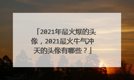 2021年最火爆的头像,2021最火牛气冲天的头像有哪些?