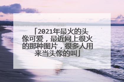 2021年最火的头像可爱，最近网上很火的那种图片，很多人用来当头像的叫