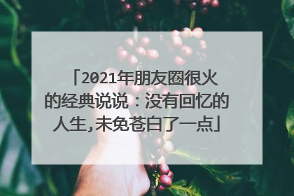 2021年朋友圈很火的经典说说:没有回忆的人生,未免苍白了一点