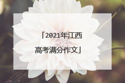 2021年江西高考满分作文