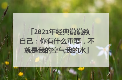 2021年经典说说致自己:你有什么重要,不就是我的空气我的水