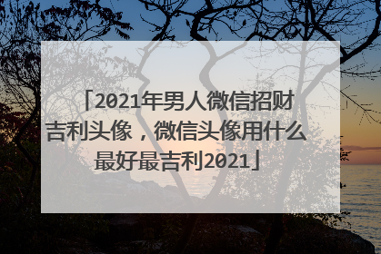 2021年男人微信招财吉利头像,微信头像用什么最好最吉利2021