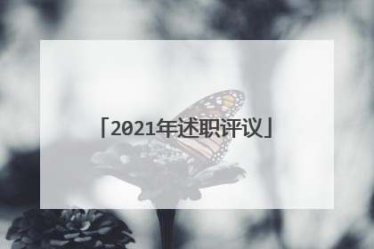 2021年述职评议