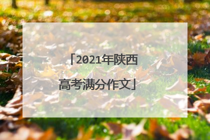 2021年陕西高考满分作文